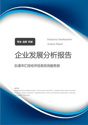 樂清市匯控經濟信息咨詢服務部 企業定位、業務發展與市場前景分析報告